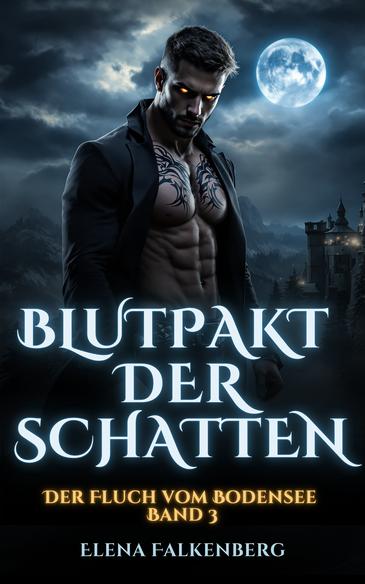 Novel