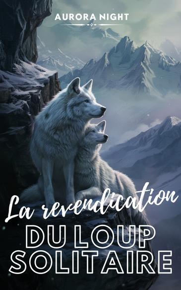 Novel